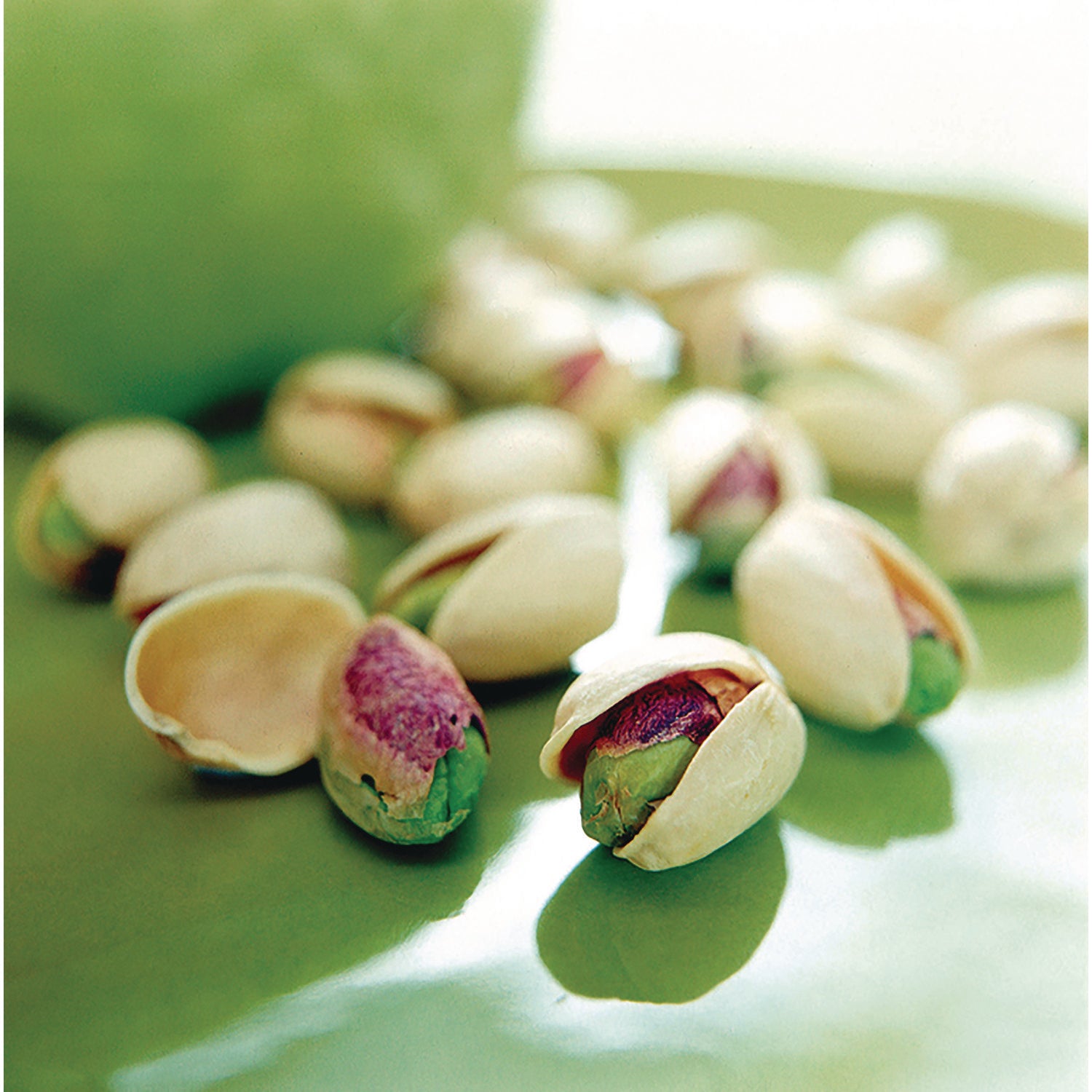 organic-pistachios-dry-roasted-with-sea-salt-7-oz-bag-12-carton_sef5182 - 4