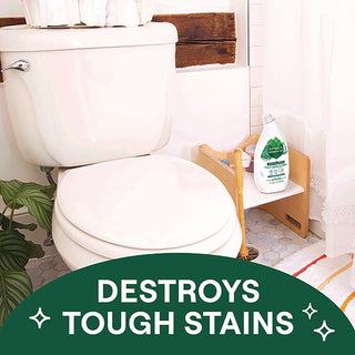 Toilet Bowl Cleaner, Fresh Mint Scent, 24 oz Bottle