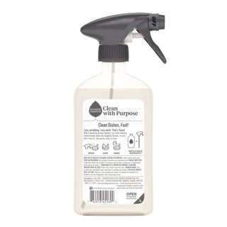 Foaming Dish Spray, Mandarin Orange Scent, 16 oz Bottle