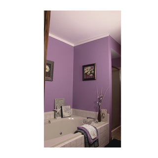 Mold Killing Primer, Interior/Exterior, Flat White, 1 gal Bucket/Pail