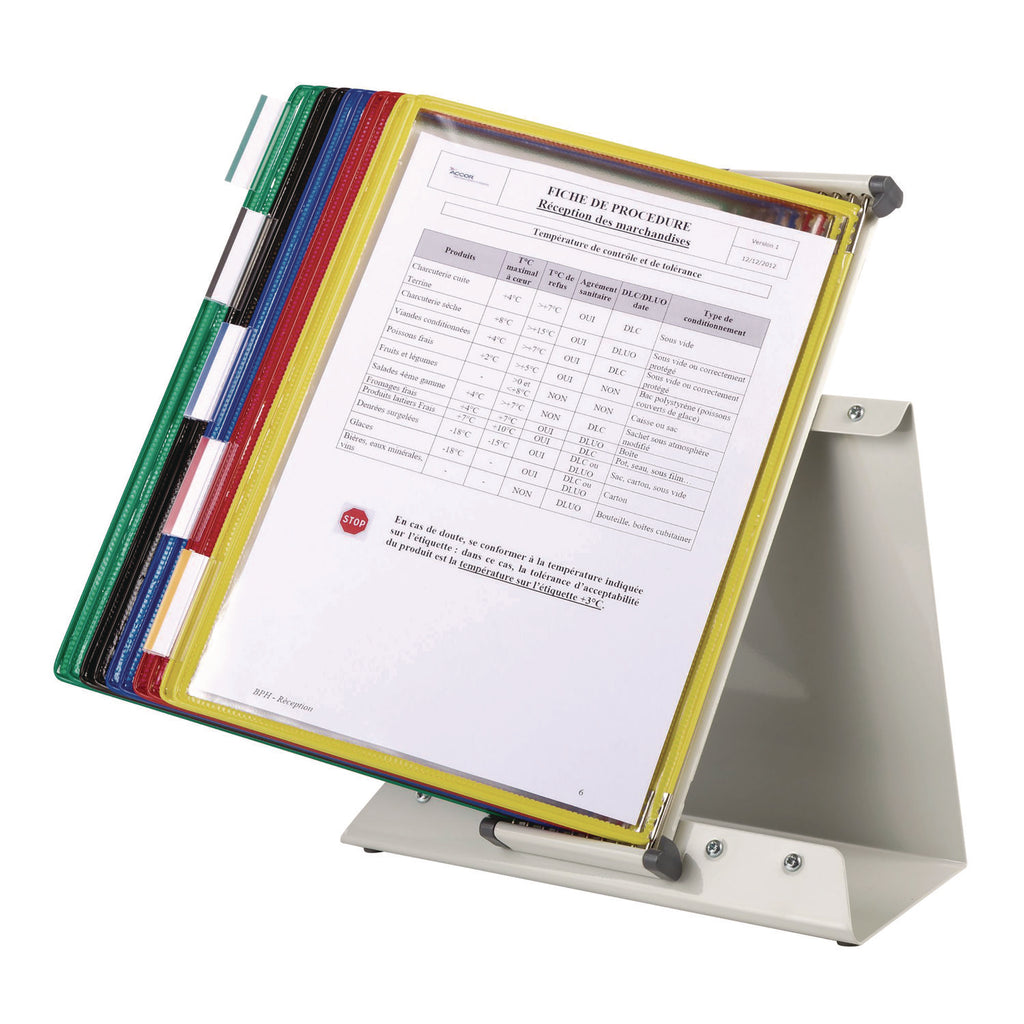 Desktop Reference Starter Set, 10 Pockets, 5 Tabs - 
