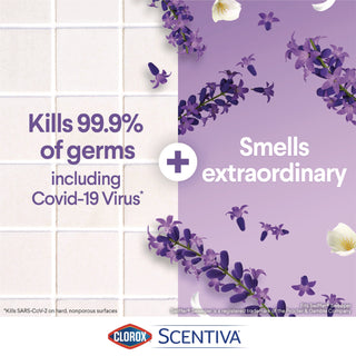 Clorox Scentiva Bleach-Free Disinfecting Wipes - Ready-To-Use Wipe - Tuscan Lavender & Jasmine Scent - 70 / Tub - 1 Each - White