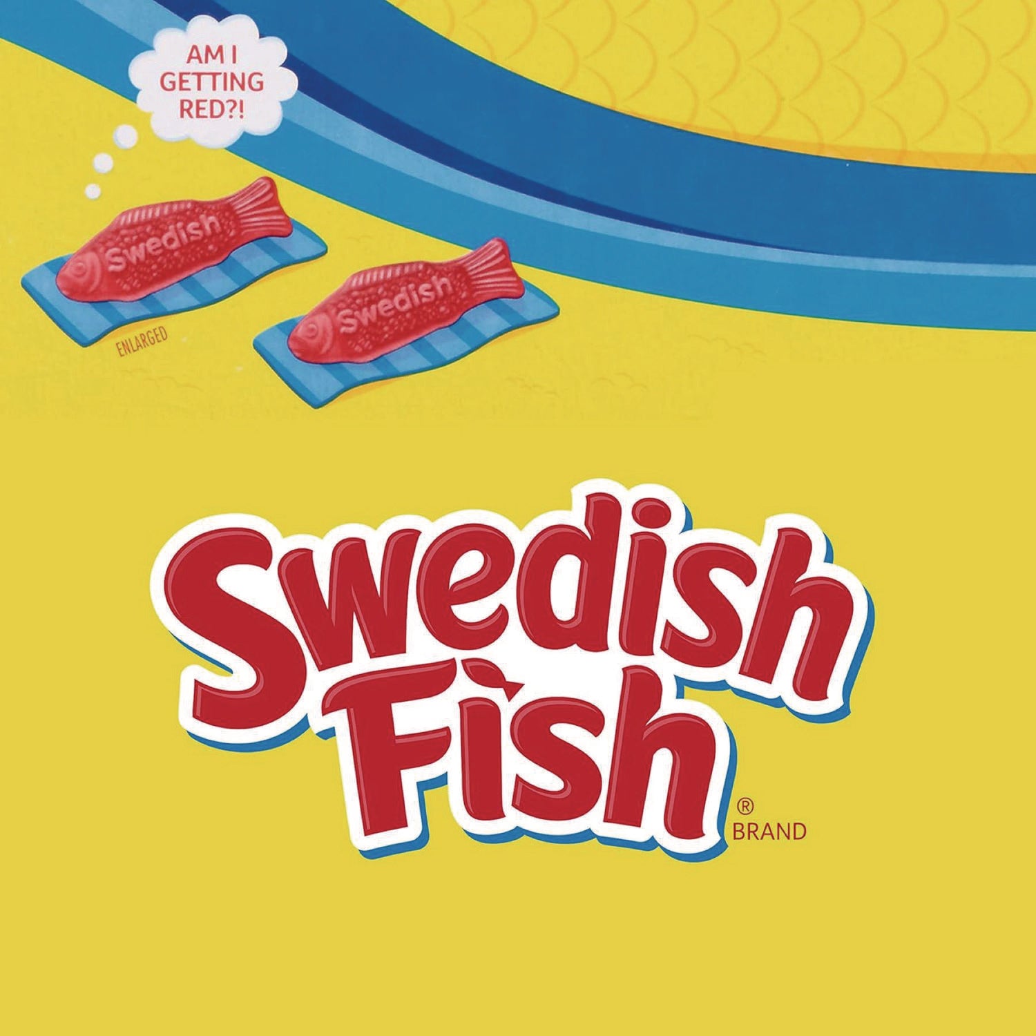 grab-and-go-candy-snacks-in-reception-box-240-pieces-box_cdb43146 - 5