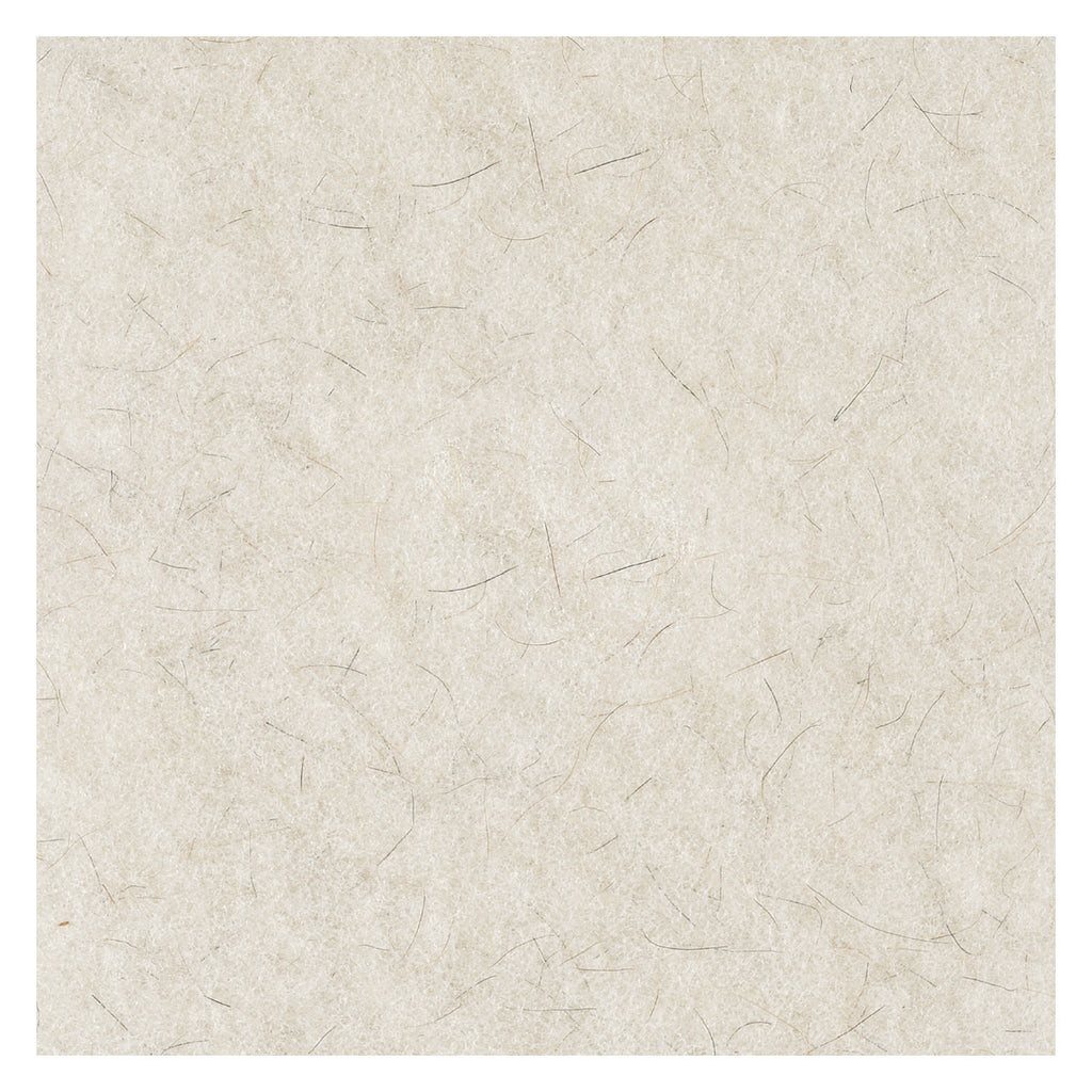 Natural Burnishing Floor Pads, 27" Diameter, White, 5/Carton - 6