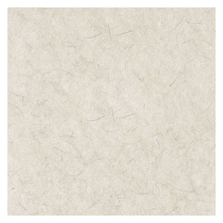 Natural Burnishing Floor Pads, 27" Diameter, White, 5/Carton - 6