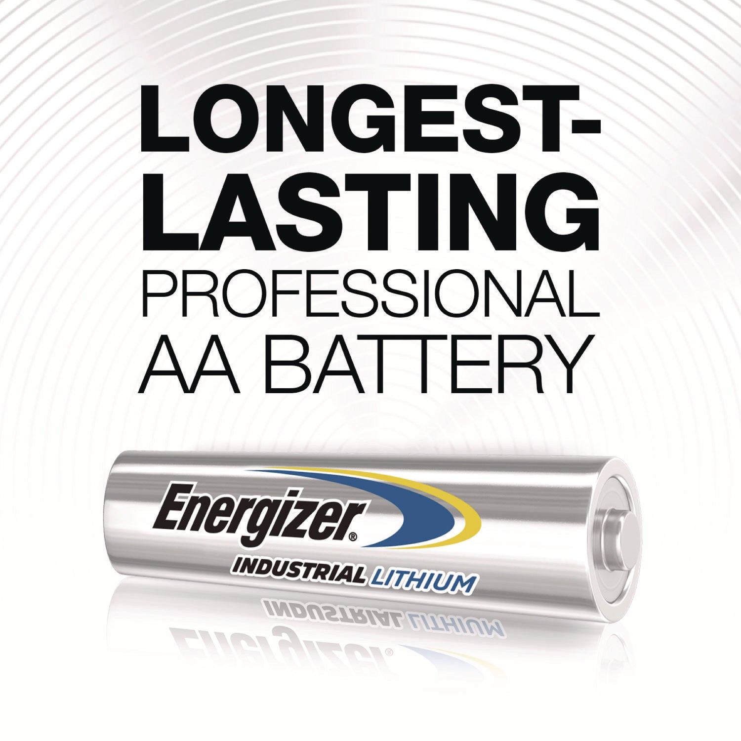 Industrial Lithium AA Battery, 1.5 V, 4/Pack