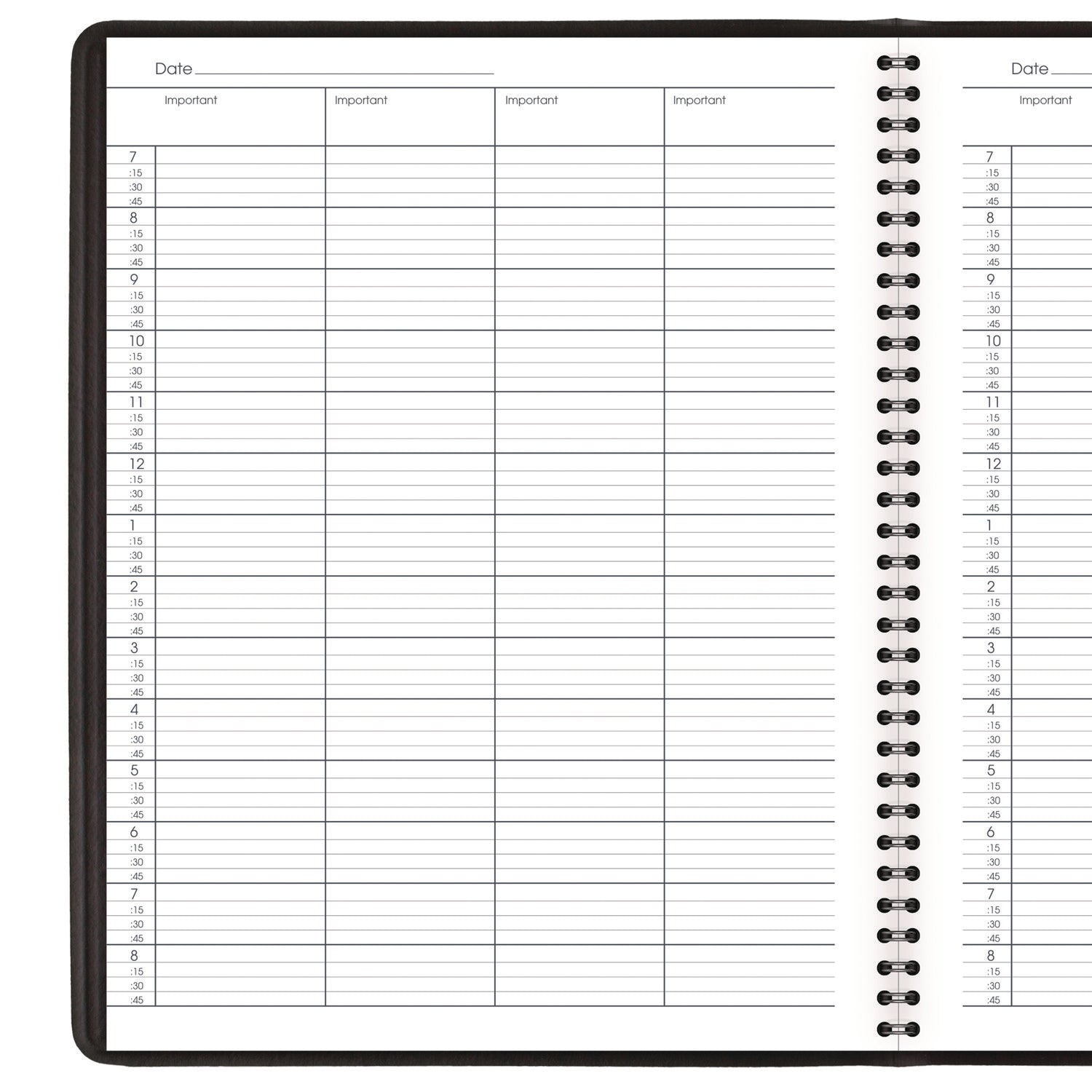 Four-Person Group Undated Daily Appointment Book, 10.88 x 8.5, Black Cover, 12-Month (Jan to Dec): Undated - 4