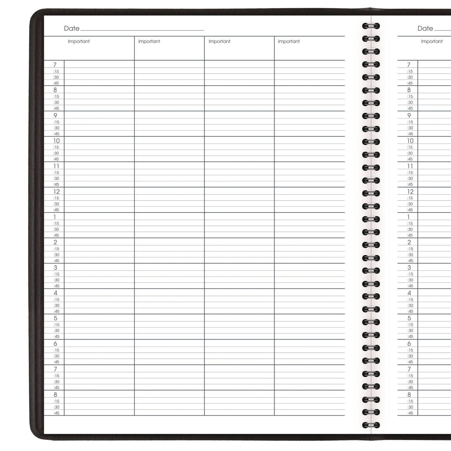 Four-Person Group Undated Daily Appointment Book, 10.88 x 8.5, Black Cover, 12-Month (Jan to Dec): Undated