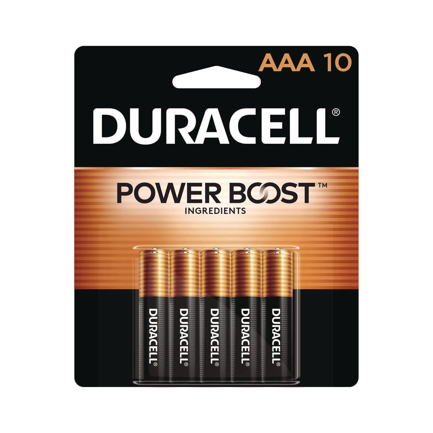 Power Boost CopperTop Alkaline AAA Batteries, 10/Pack - 1