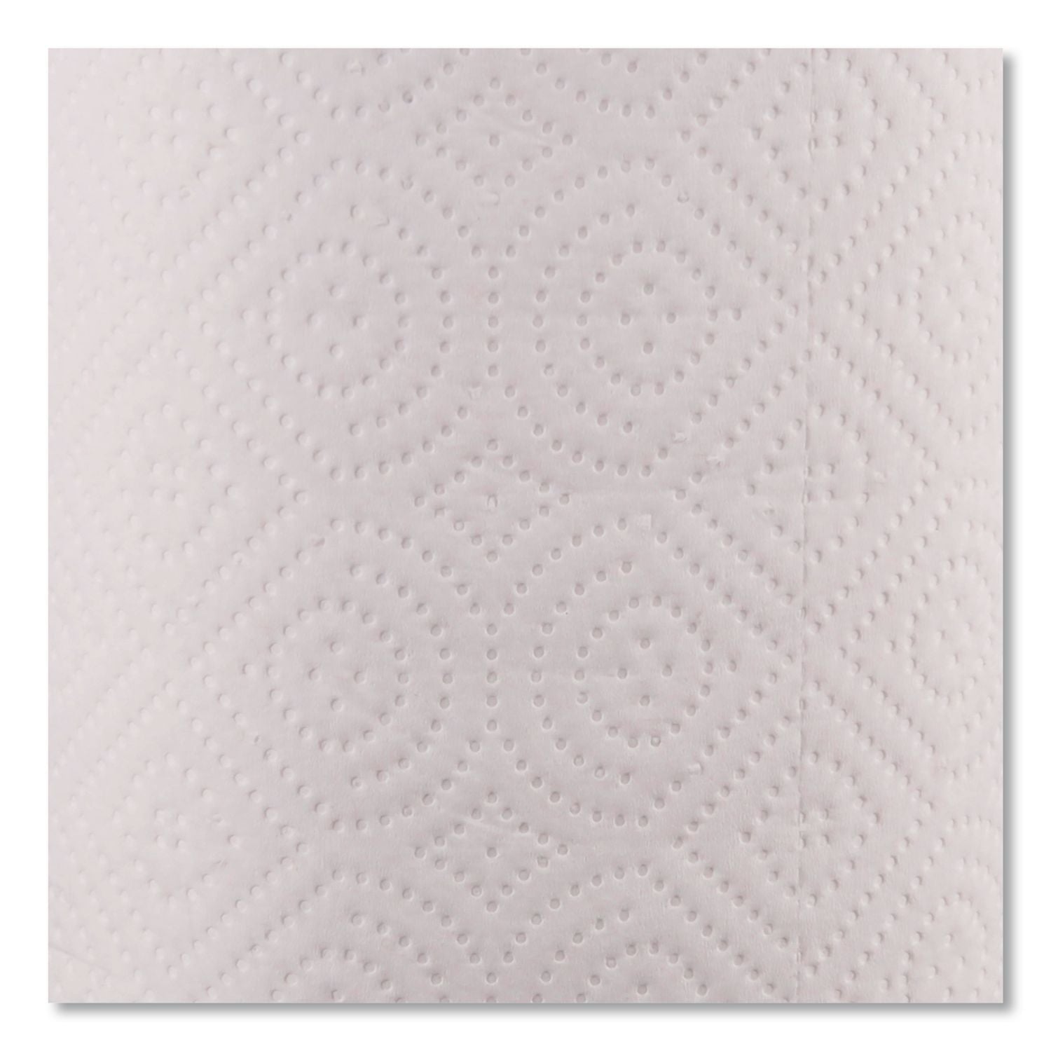 Kitchen Roll Towel, 2-Ply, 11 x 8.5, White, 250/Roll, 12 Rolls/Carton