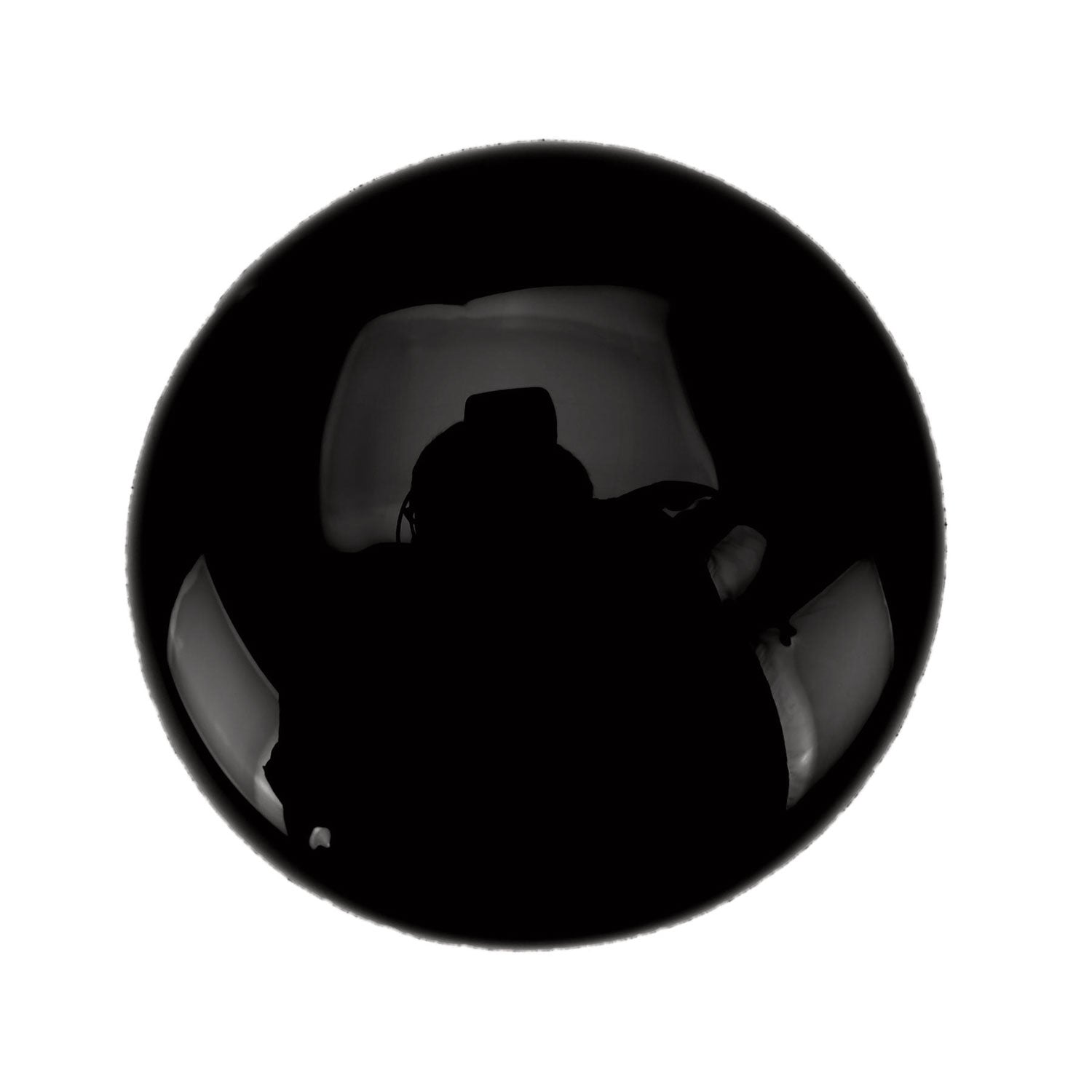 Premier Tempera Paint, Black, 16 oz Bottle