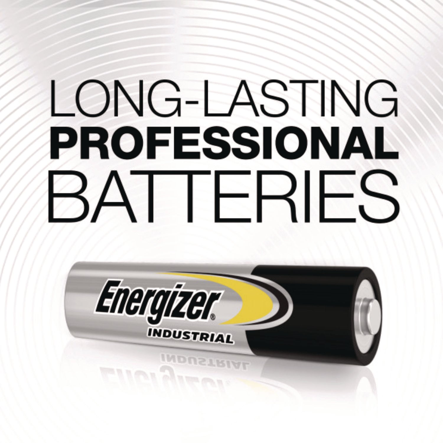 Industrial Alkaline AAA Batteries, 1.5 V, 24/Box