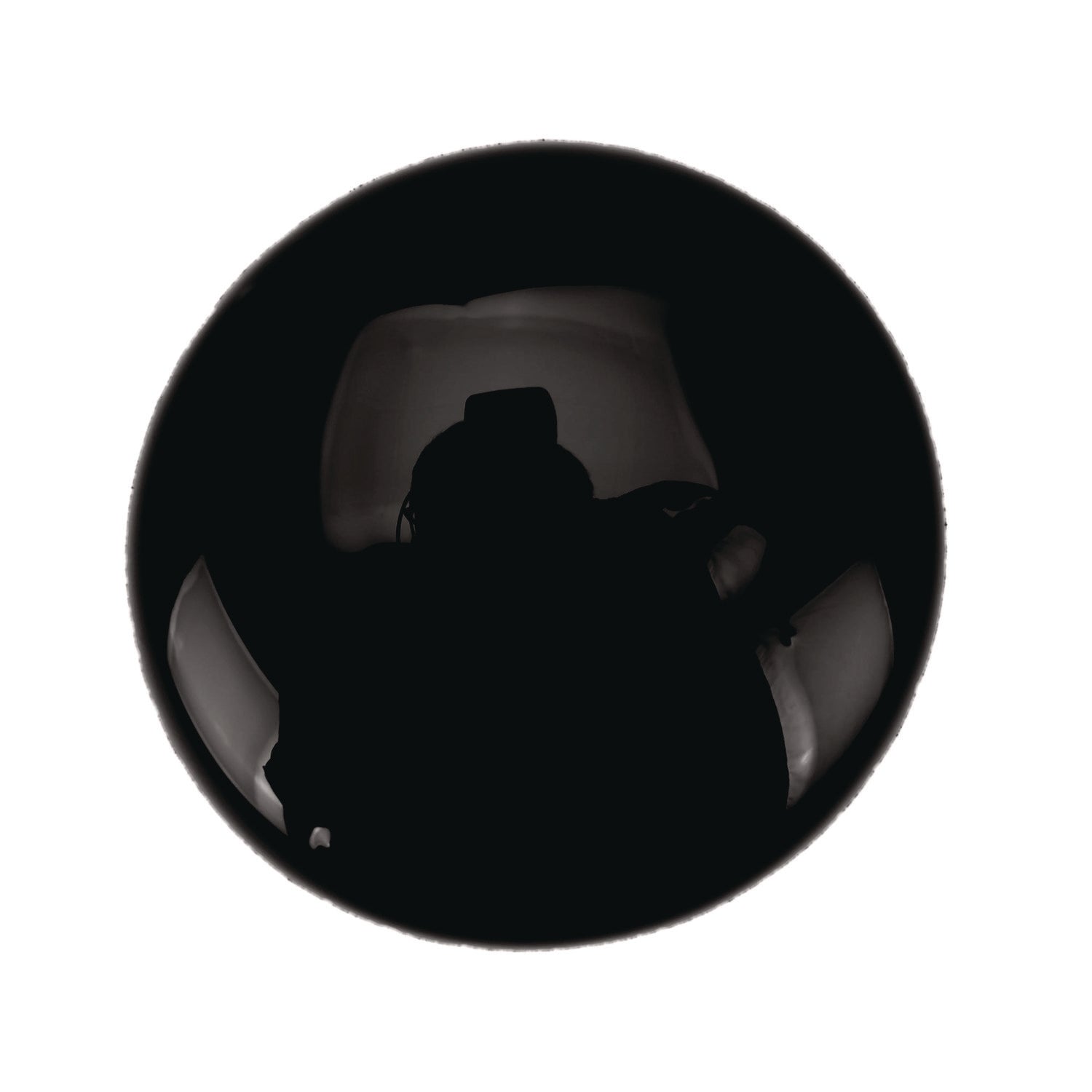 Artista II Washable Tempera Paint, Black, 16 oz Bottle