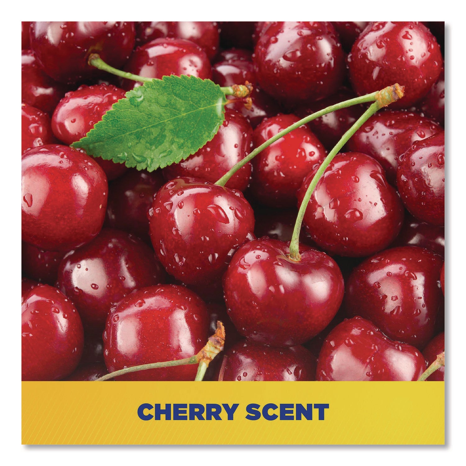 Cherry Bomb Gel Hand Cleaner, Cherry Scent, 48 oz Pump Bottle, 4/Carton