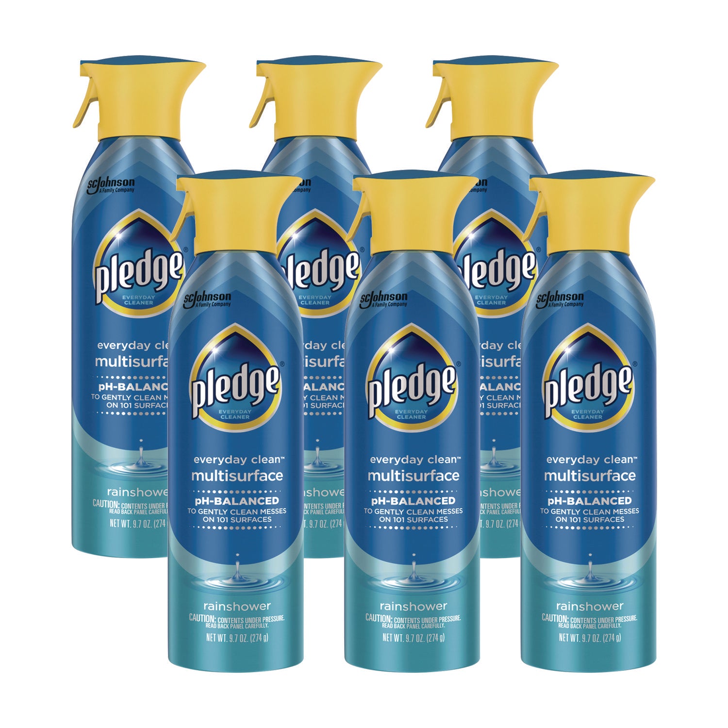 Multi-Surface Everyday, Rainshower, 9.7 oz Aerosol Spray, 6/Carton