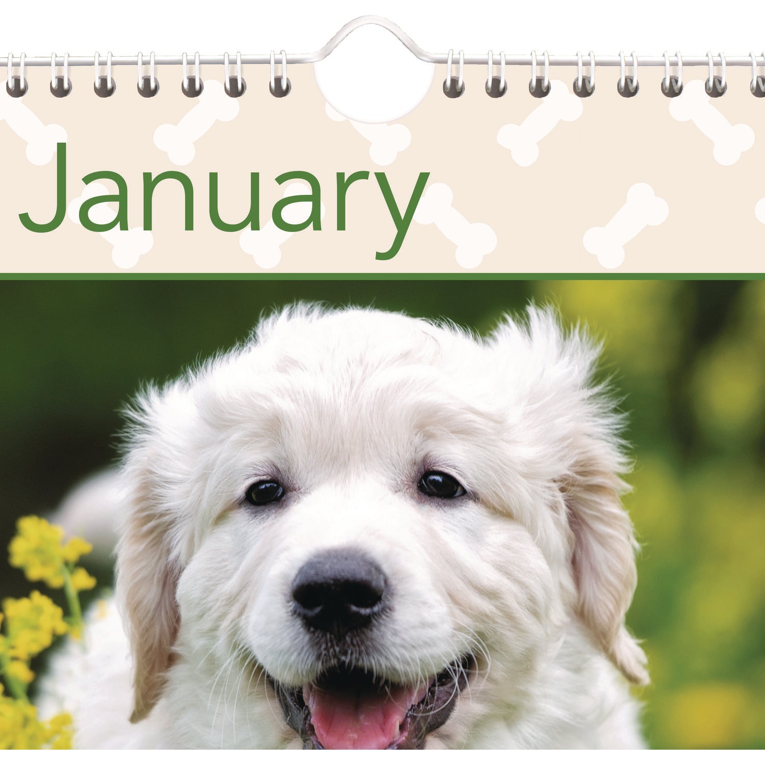 At-A-Glance Puppies Wall Calendar - Large Size - Julian Dates - Monthly, Yearly - 12 Month - January 2024 - December 2024 - 1 Month Single Page Layout - 15 1/2" x 22 3/4" White Sheet - 2" x 2.13" Block - Wire Bound - White - Chipboard, Paper - Hangin - 4