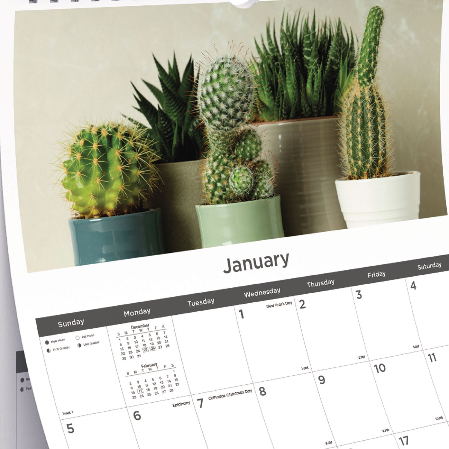12-Month Wall Calendar, Succulent Plants Photography, 12 x 17, White/Multicolor Sheets, 12-Month (Jan to Dec): 2024 - 2