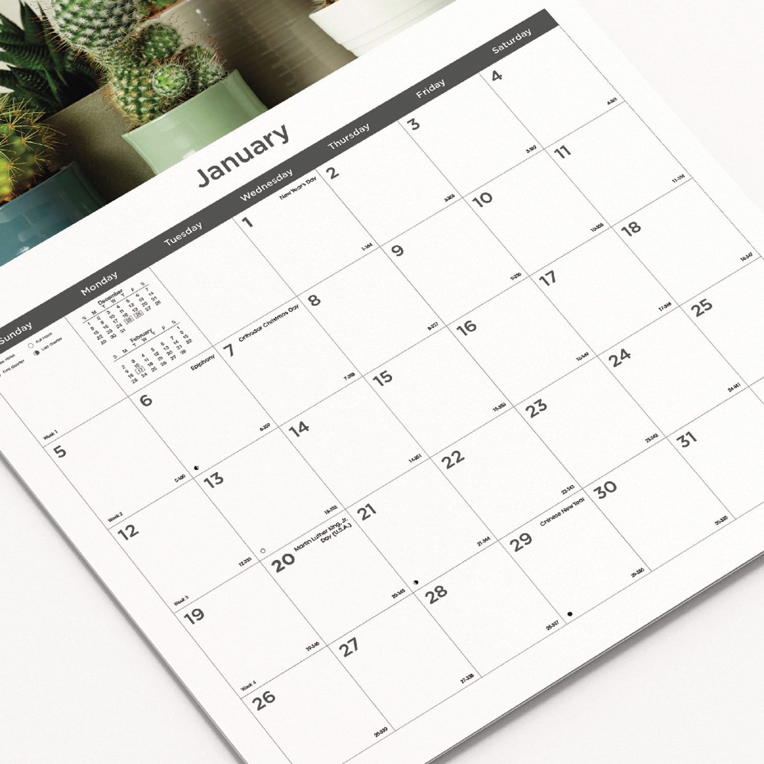 12-Month Wall Calendar, Succulent Plants Photography, 12 x 17, White/Multicolor Sheets, 12-Month (Jan to Dec): 2024 - 4