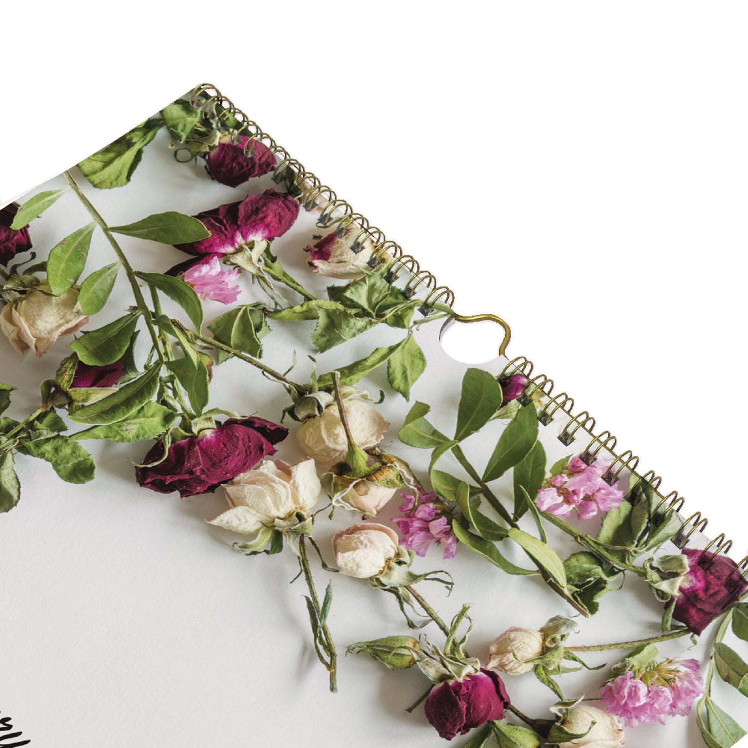 Romantic Wall Calendar, Romantic Floral Photography, 12 x 17, Multicolor/White Sheets, 12-Month (Jan to Dec): 2024