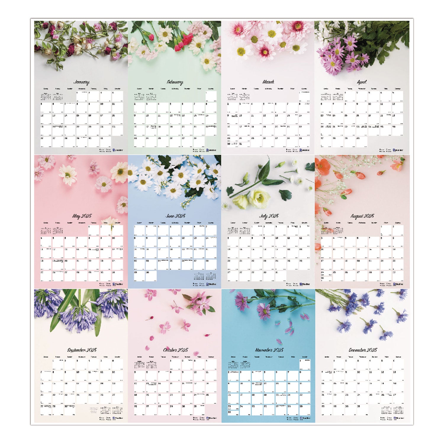 Romantic Wall Calendar, Romantic Floral Photography, 12 x 17, Multicolor/White Sheets, 12-Month (Jan to Dec): 2024