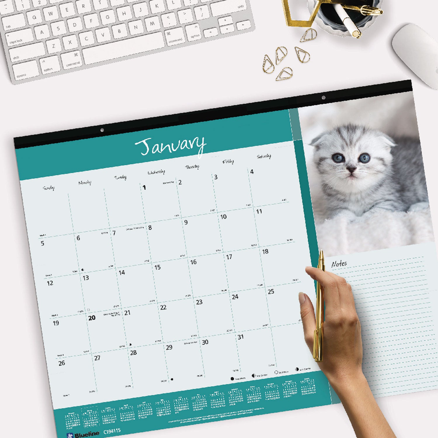 Pets Collection Monthly Desk Pad, Furry Kittens Photography, 22 x 17, White Sheets, Black Binding, 12-Month (Jan-Dec): 2024 - 8