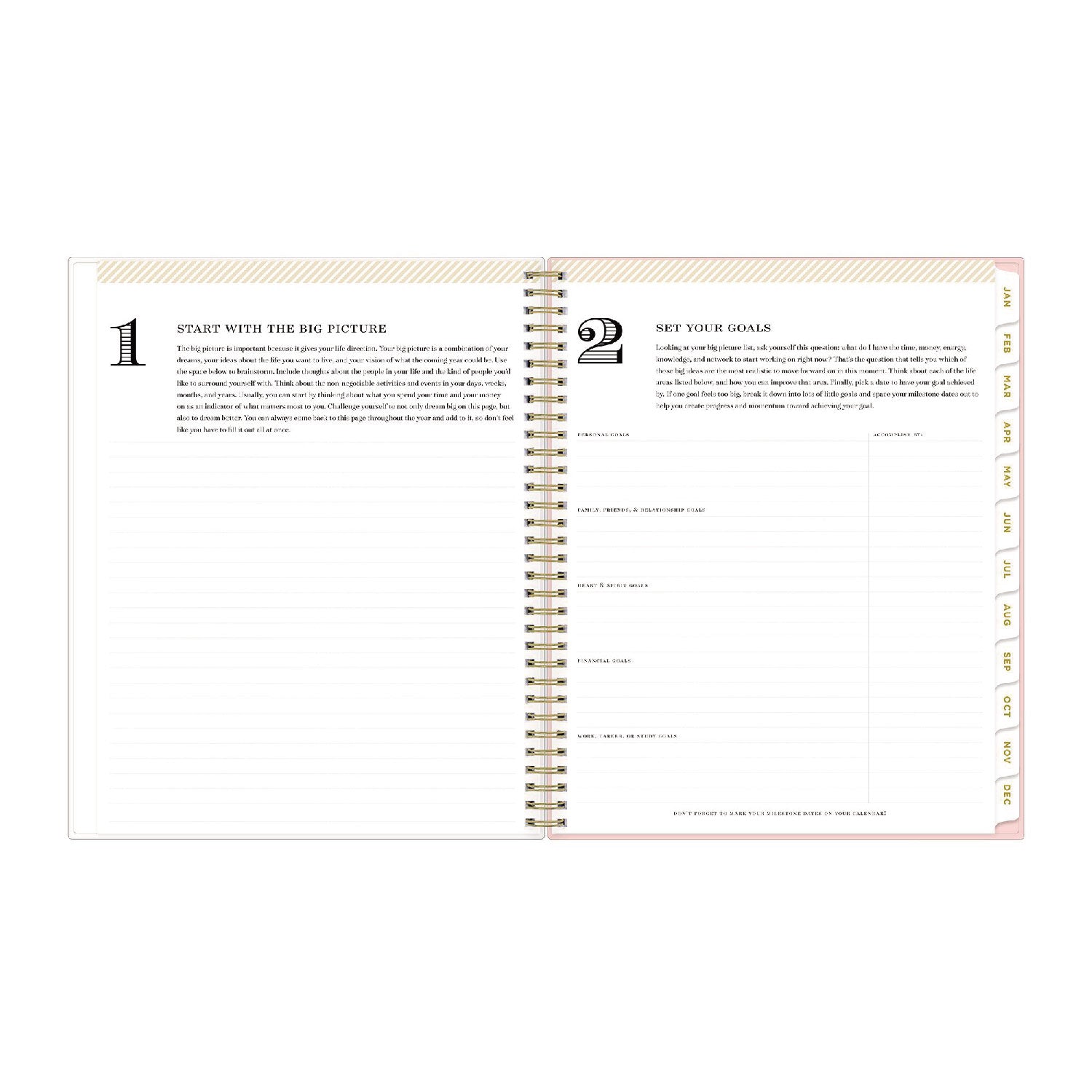 Day Designer Coming Up Roses Create-Your-Own Cover Weekly/Monthly Planner, 11 x 8.5, Blush/Cream Cover,12-Month(Jan-Dec):2024