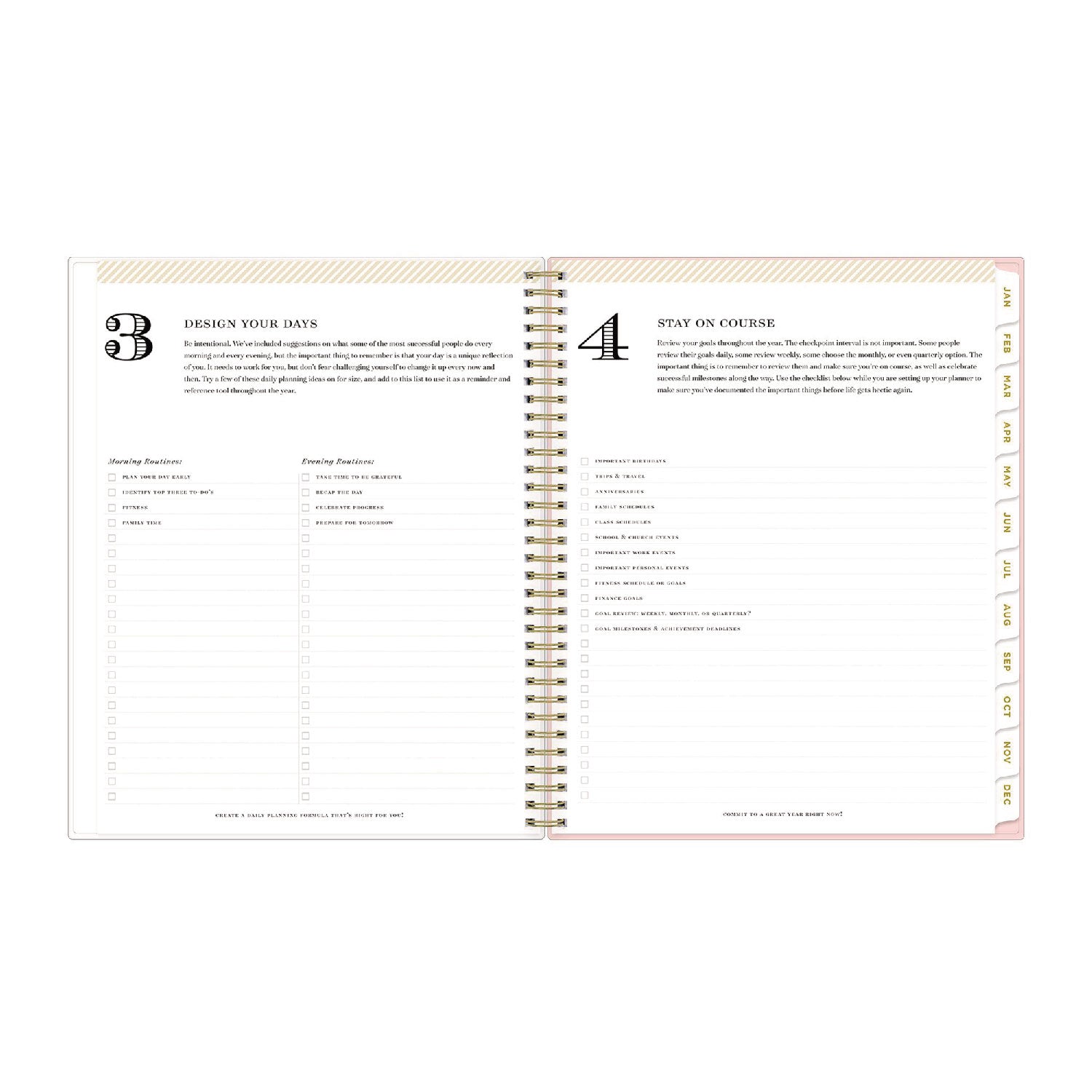 Day Designer Coming Up Roses Create-Your-Own Cover Weekly/Monthly Planner, 11 x 8.5, Blush/Cream Cover,12-Month(Jan-Dec):2024