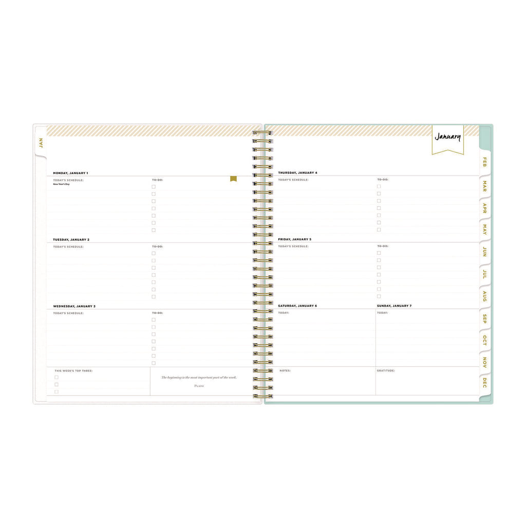 Day Designer Secret Garden Mint Frosted Weekly/Monthly Planner, 11 x 8.5, Multicolor Cover, 12-Month (Jan to Dec): 2024