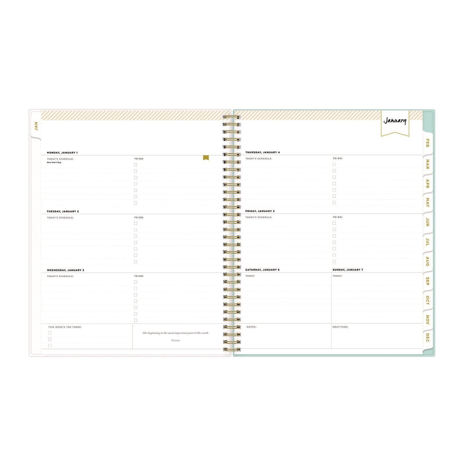 Day Designer Secret Garden Mint Frosted Weekly/Monthly Planner, 11 x 8.5, Multicolor Cover, 12-Month (Jan to Dec): 2024
