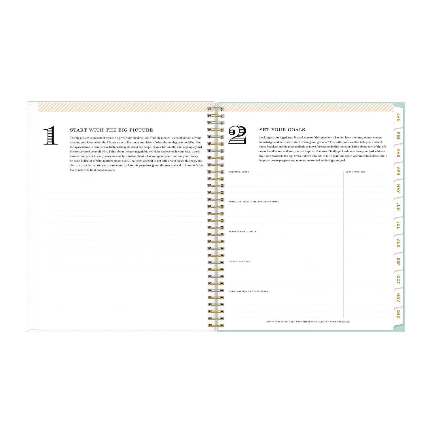 Day Designer Secret Garden Mint Frosted Weekly/Monthly Planner, 11 x 8.5, Multicolor Cover, 12-Month (Jan to Dec): 2024