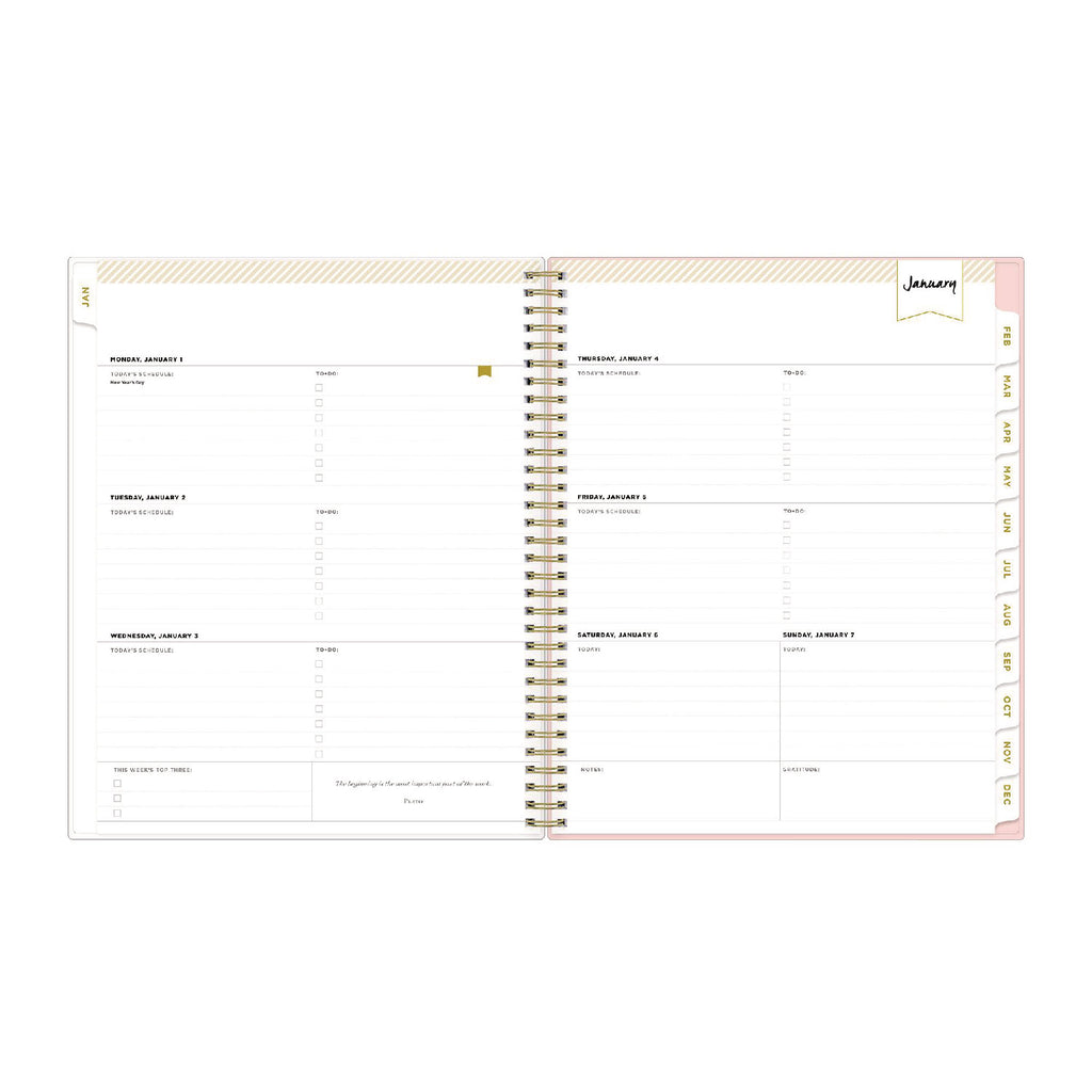 Day Designer Coming Up Roses Create-Your-Own Cover Weekly/Monthly Planner, 11 x 8.5, Blush/Cream Cover,12-Month(Jan-Dec):2024