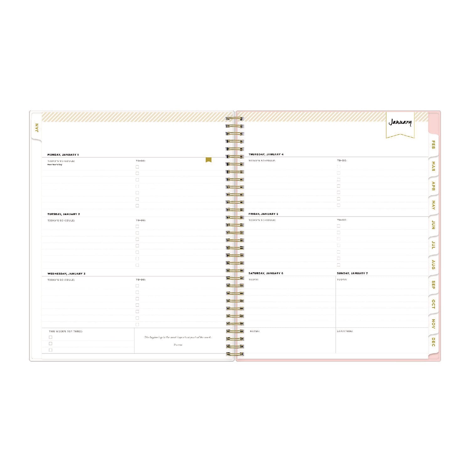 Day Designer Coming Up Roses Create-Your-Own Cover Weekly/Monthly Planner, 11 x 8.5, Blush/Cream Cover,12-Month(Jan-Dec):2024