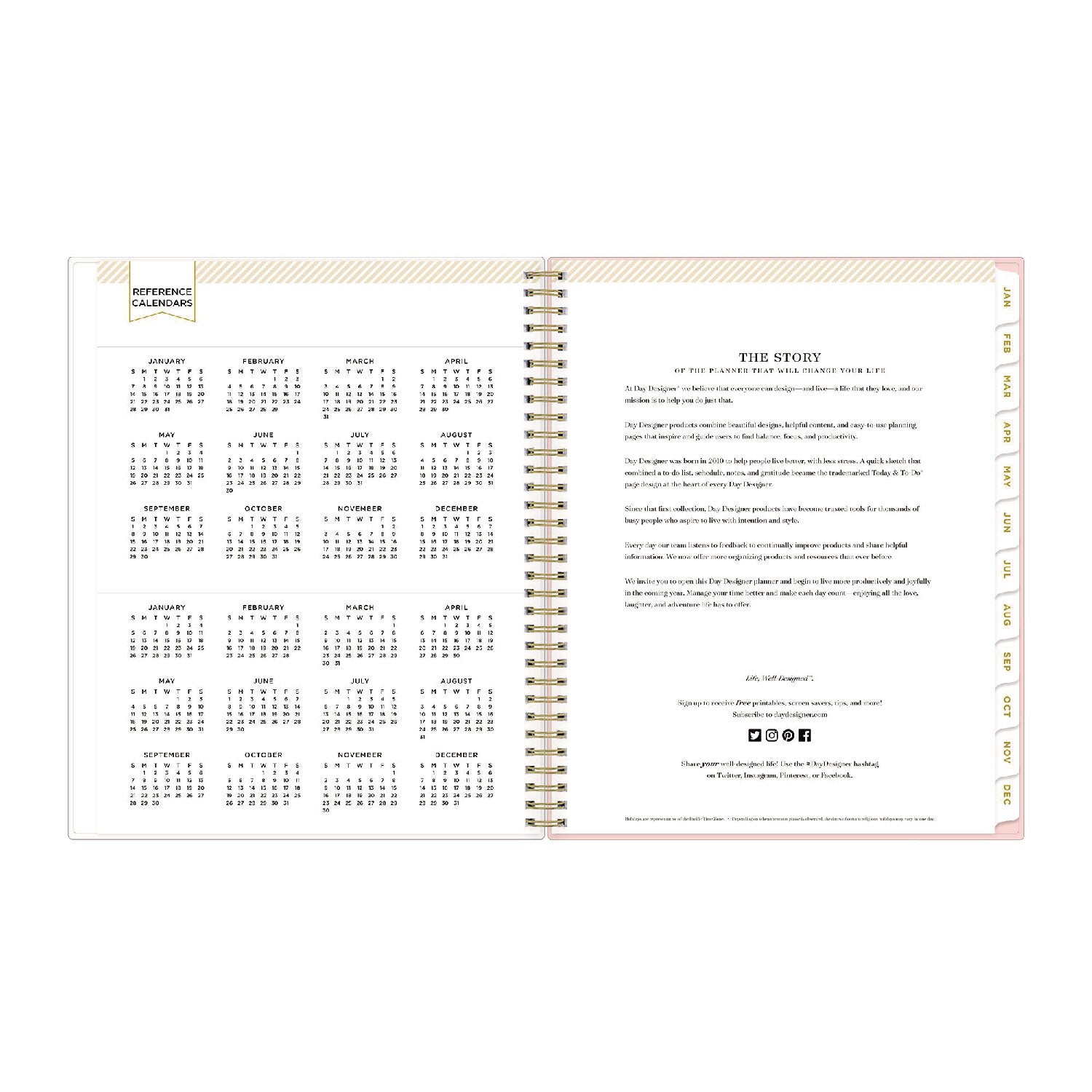 Day Designer Coming Up Roses Create-Your-Own Cover Weekly/Monthly Planner, 11 x 8.5, Blush/Cream Cover,12-Month(Jan-Dec):2024