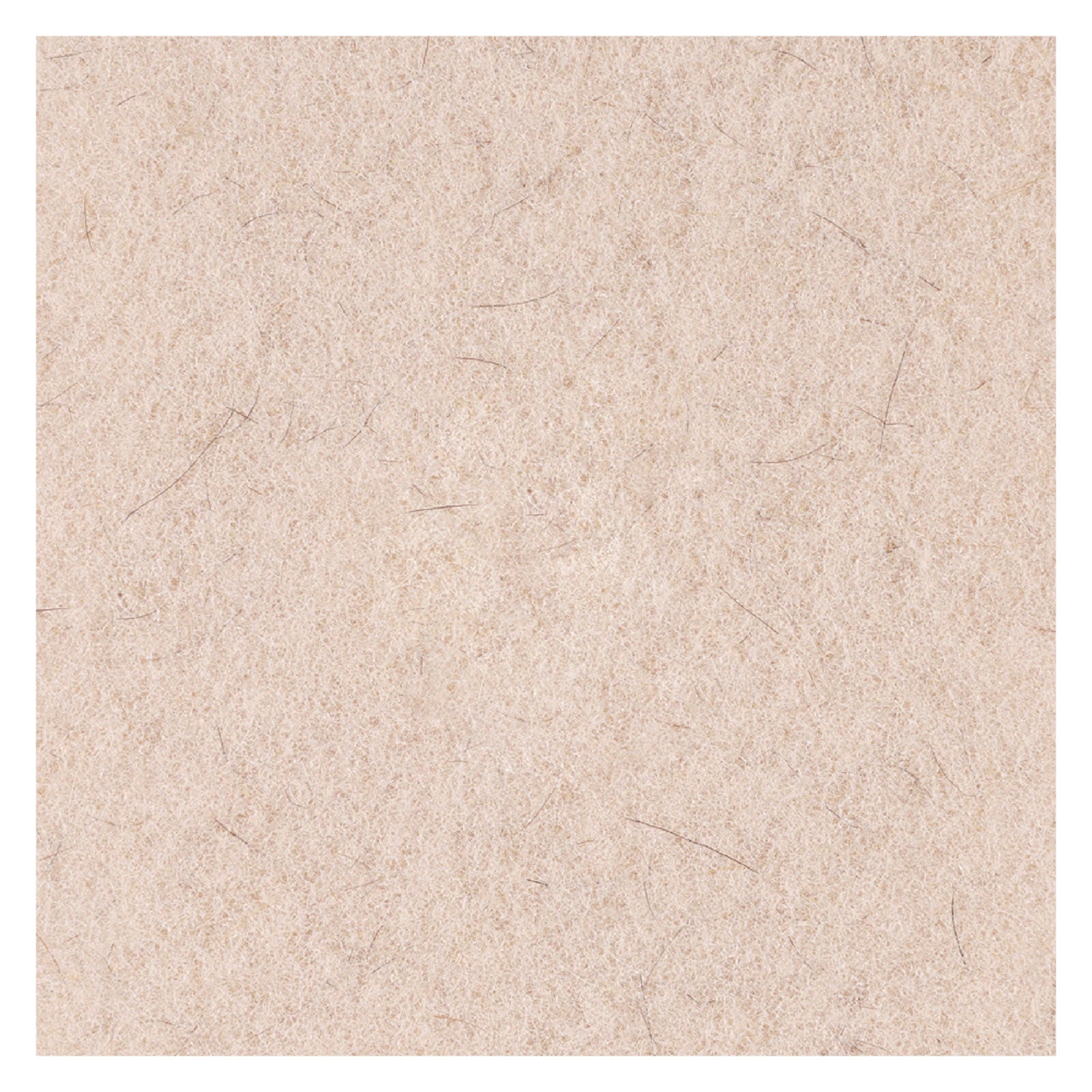 Natural Hog Hair Burnishing Floor Pads, 17" Diameter, Tan, 5/Carton - 6