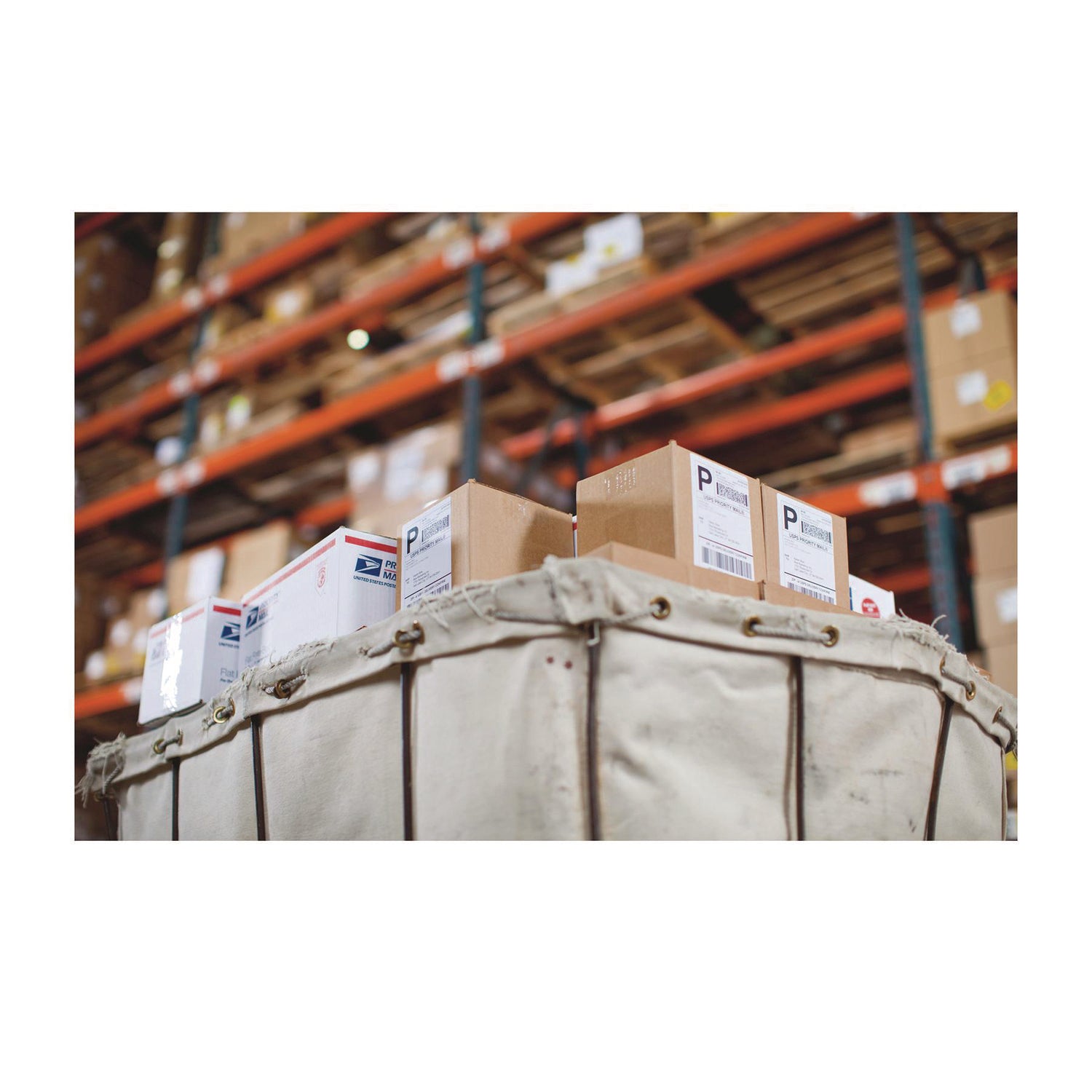 LabelWriter Shipping Labels, 4" x 6", White, 220 Labels/Roll