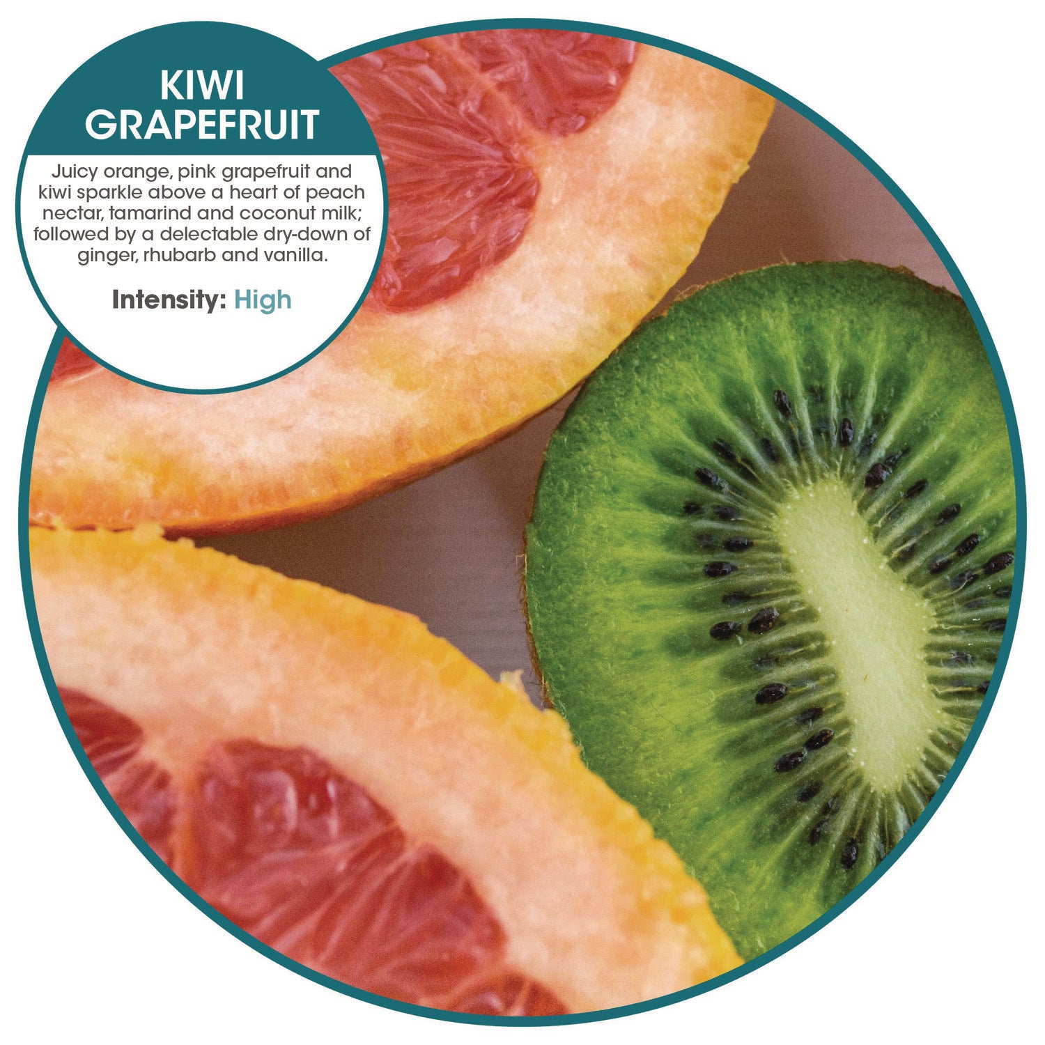ourfresh Airfreshener, Kiwi Grapefruit, 8/Box