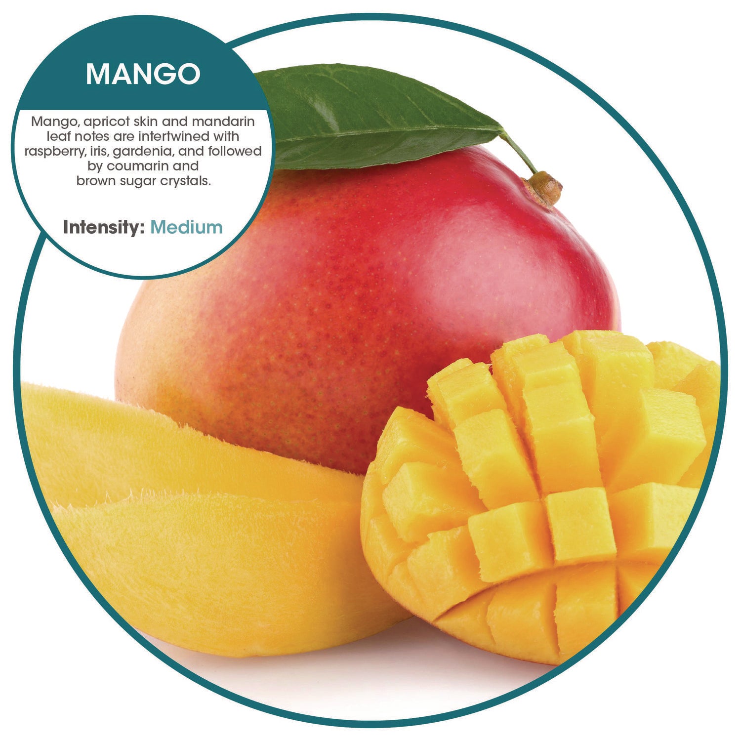 ourfresh Airfreshener, Mango, 8/Box