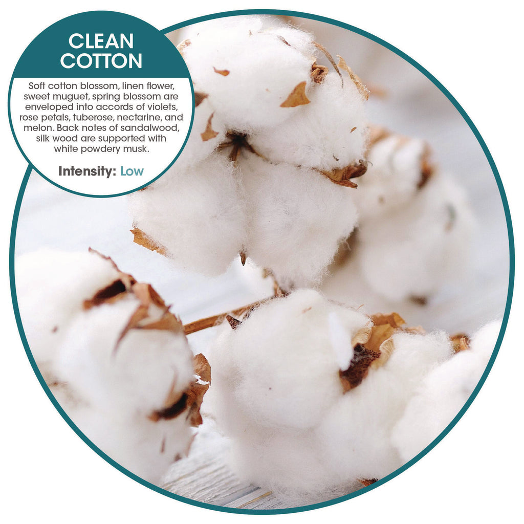 ourfresh Airfreshener, Cotton Blossom, 8/Box