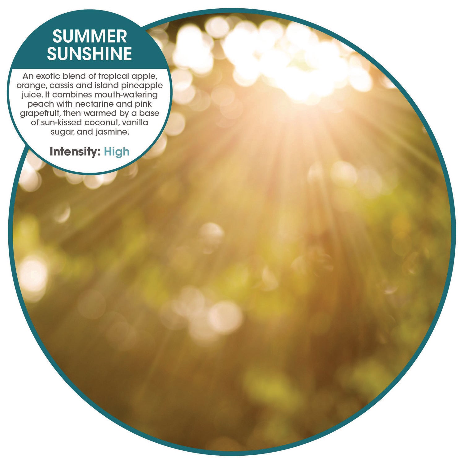 ourfreshE Refills, Summer Sunshine, 6/Box