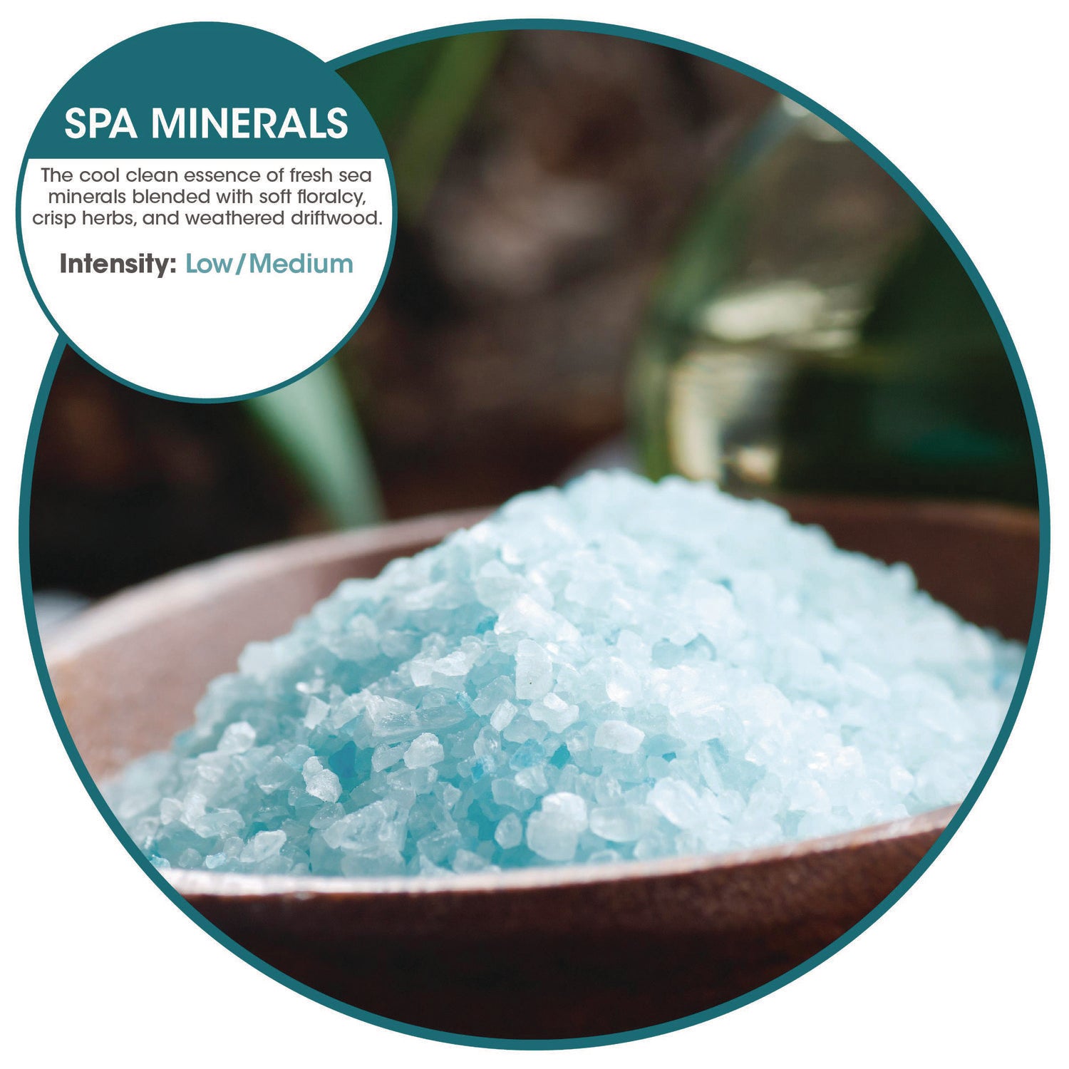 ourfreshE Refills, Spa Minerals, 6/Box