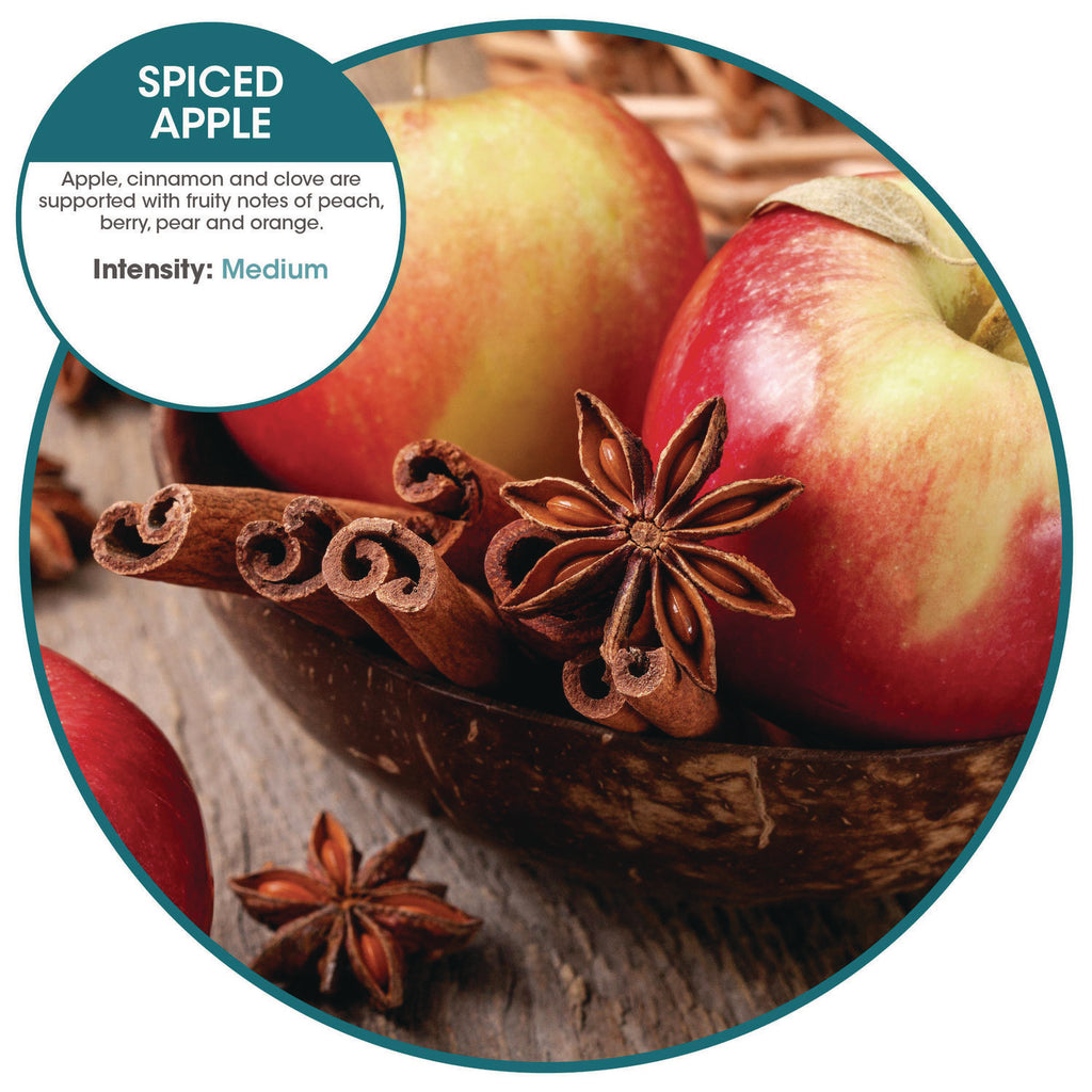 ourfreshE Refills, Spiced Apple, 6/Box