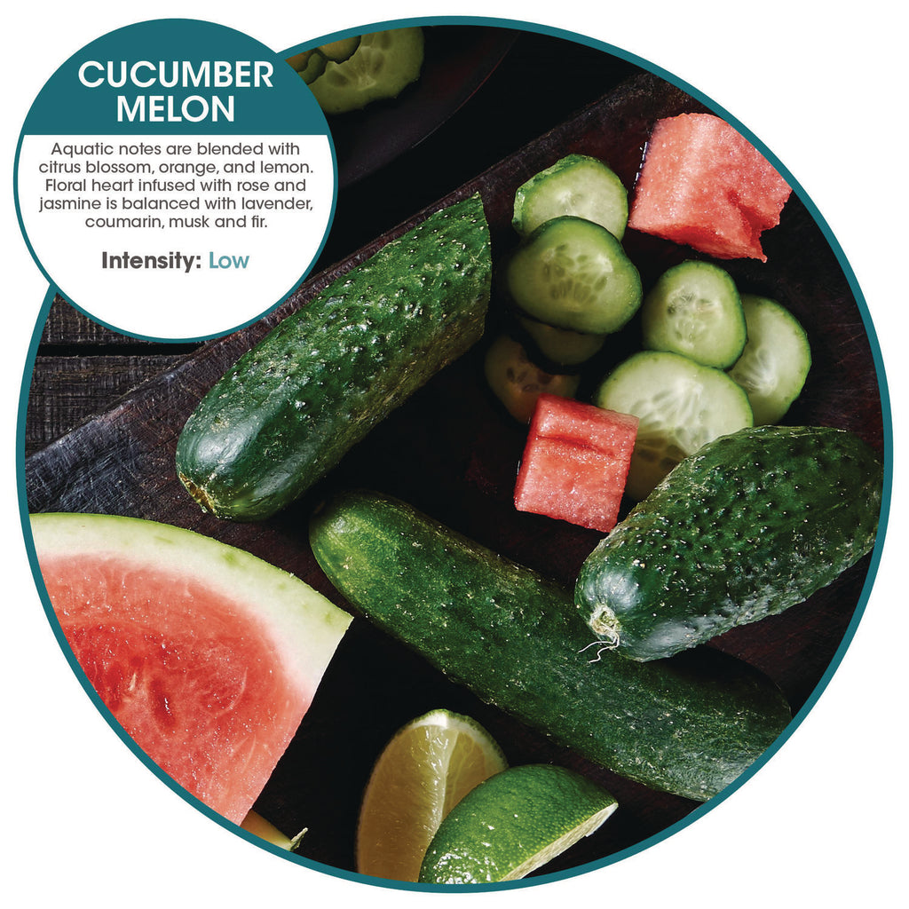 ourfreshE Refills, Cucumber Melon, 6/Box