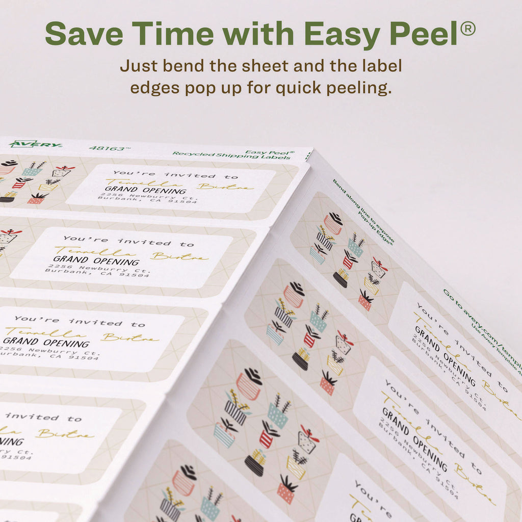 EcoFriendly Mailing Labels, Inkjet/Laser Printers, 2 x 4, White, 10/Sheet, 100 Sheets/Pack