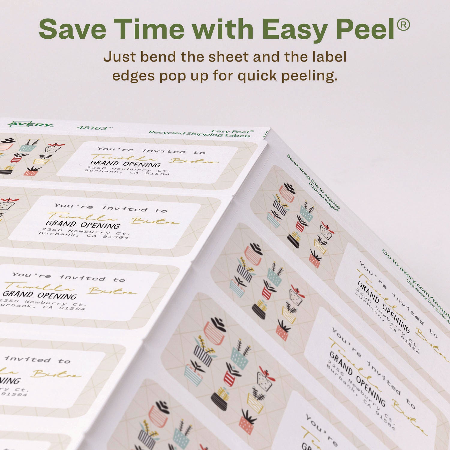 EcoFriendly Mailing Labels, Inkjet/Laser Printers, 2 x 4, White, 10/Sheet, 100 Sheets/Pack