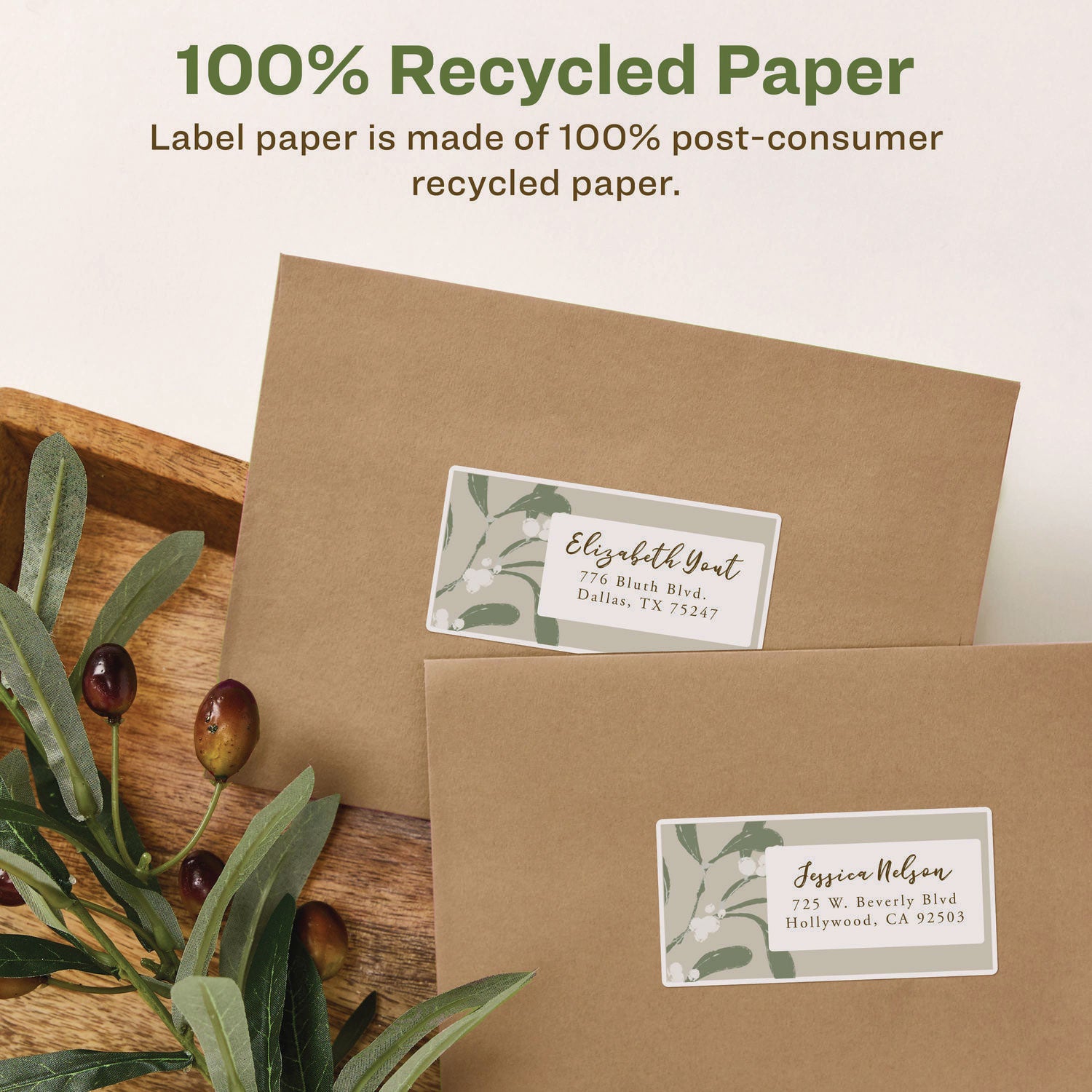 EcoFriendly Mailing Labels, Inkjet/Laser Printers, 2 x 4, White, 10/Sheet, 25 Sheets/Pack