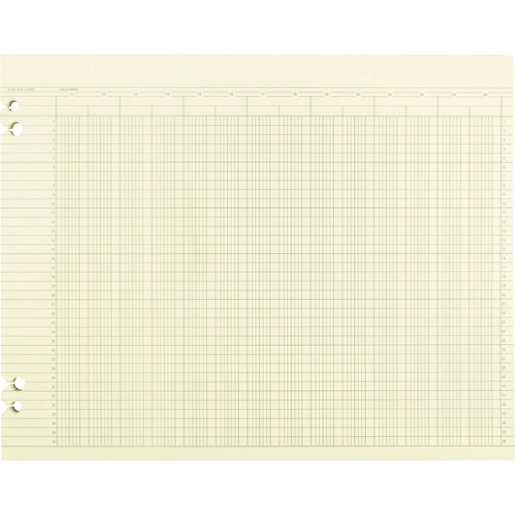 Accounting Sheets, 24 Columns, 11 X 14, Green, Loose Sheet, 100/pack