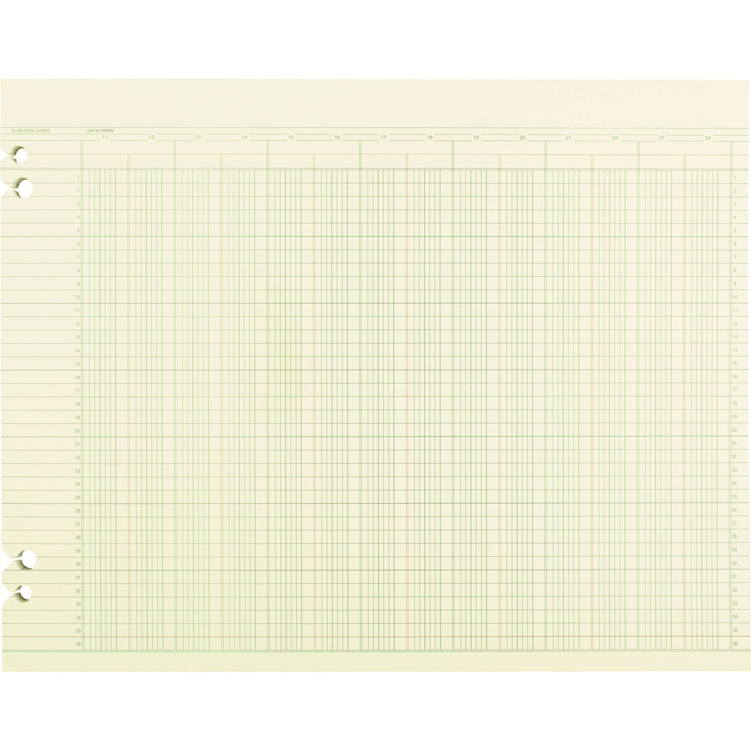 Accounting Sheets, 24 Columns, 11 X 14, Green, Loose Sheet, 100/pack
