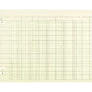 Accounting Sheets, 24 Columns, 11 X 14, Green, Loose Sheet, 100/pack
