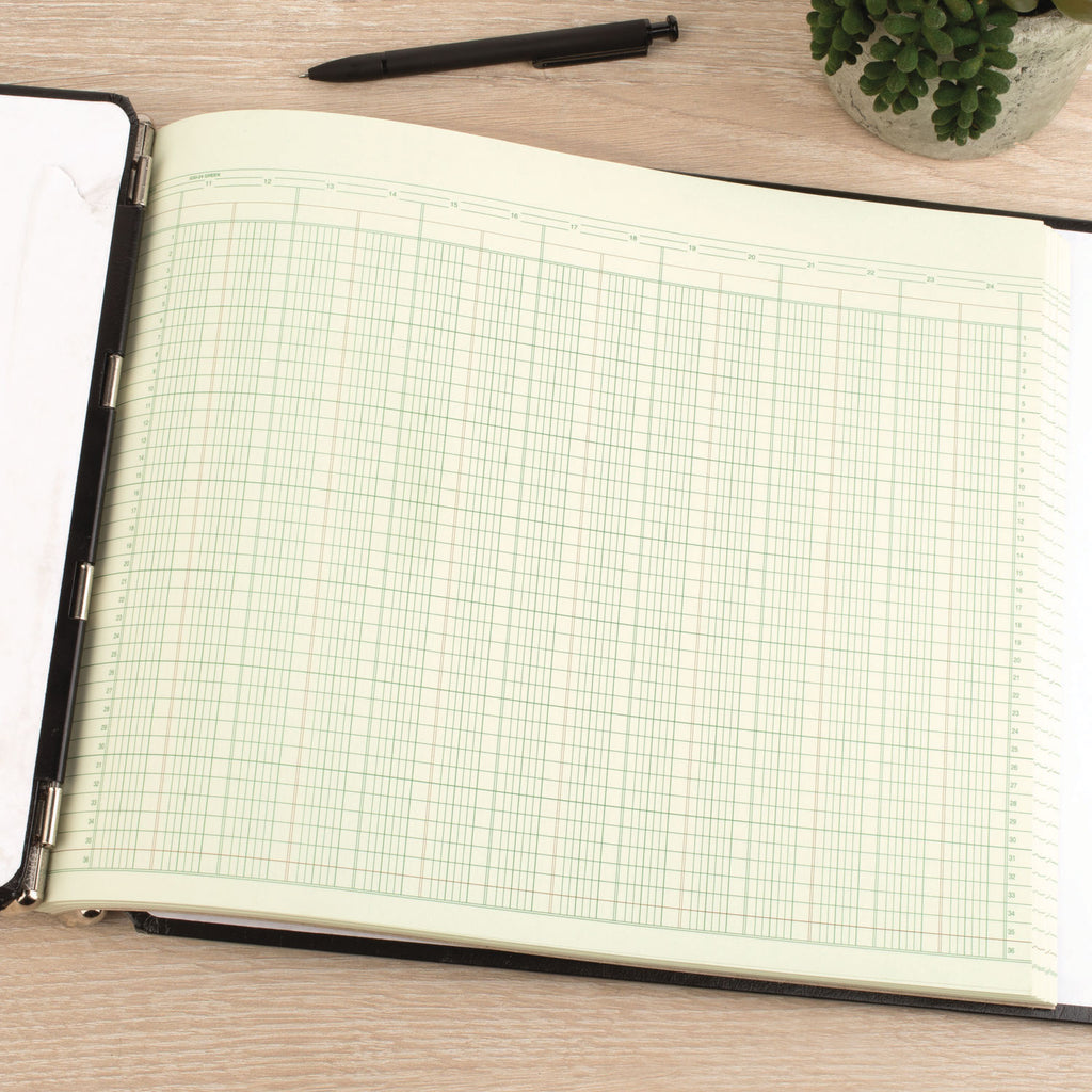 Accounting Sheets, 24 Columns, 11 X 14, Green, Loose Sheet, 100/pack