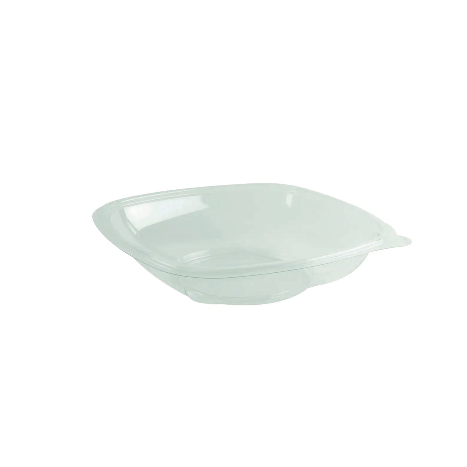Bowl,Salad,Clr